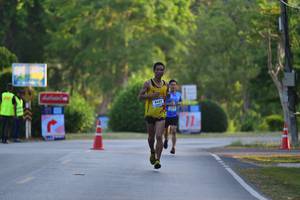 BIB: 
                            <button type="button" onclick="openModal(3404174)" class="btn btn-primary btn-sm float-right btn-popup" data-toggle="modal" data-target=".modal-high-quality">
                        <i class="fas fa-shopping-cart"></i> Add to Cart
                    </button>
                                            <button type="button" onclick="isThisMe(3404174, true)" class="btn btn-success btn-sm float-right btn-popup btn-isme hidden" data-toggle="tooltip" data-placement="bottom" title="นี่คือรูปของคุณใช่ไหม คลิกที่นี่เพื่อเอาเข้าอัลบั้ม">
                        <i class="fas fa-plus"></i> Add to album
                    </button>
                    <button type="button" onclick="isThisMe(3404174, false)" class="btn btn-warning btn-sm float-right btn-popup btn-isnotme hidden">
                        <i class="fas fa-ban"></i> Remove from album
                    </button>