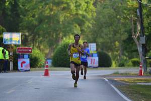 BIB: 
                            <button type="button" onclick="openModal(3404262)" class="btn btn-primary btn-sm float-right btn-popup" data-toggle="modal" data-target=".modal-high-quality">
                        <i class="fas fa-shopping-cart"></i> Add to Cart
                    </button>
                                            <button type="button" onclick="isThisMe(3404262, true)" class="btn btn-success btn-sm float-right btn-popup btn-isme hidden" data-toggle="tooltip" data-placement="bottom" title="นี่คือรูปของคุณใช่ไหม คลิกที่นี่เพื่อเอาเข้าอัลบั้ม">
                        <i class="fas fa-plus"></i> Add to album
                    </button>
                    <button type="button" onclick="isThisMe(3404262, false)" class="btn btn-warning btn-sm float-right btn-popup btn-isnotme hidden">
                        <i class="fas fa-ban"></i> Remove from album
                    </button>