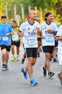 BIB: 6602, 6775, 6778
                            <button type="button" onclick="openModal(3088478)" class="btn btn-primary btn-sm float-right btn-popup" data-toggle="modal" data-target=".modal-high-quality">
                        <i class="fas fa-shopping-cart"></i> Add to Cart
                    </button>
                                            <button type="button" onclick="isThisMe(3088478, true)" class="btn btn-success btn-sm float-right btn-popup btn-isme hidden" data-toggle="tooltip" data-placement="bottom" title="นี่คือรูปของคุณใช่ไหม คลิกที่นี่เพื่อเอาเข้าอัลบั้ม">
                        <i class="fas fa-plus"></i> Add to album
                    </button>
                    <button type="button" onclick="isThisMe(3088478, false)" class="btn btn-warning btn-sm float-right btn-popup btn-isnotme hidden">
                        <i class="fas fa-ban"></i> Remove from album
                    </button>