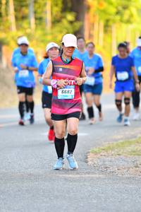 BIB: 6682
                            <button type="button" onclick="openModal(3093650)" class="btn btn-primary btn-sm float-right btn-popup" data-toggle="modal" data-target=".modal-high-quality">
                        <i class="fas fa-shopping-cart"></i> Add to Cart
                    </button>
                                            <button type="button" onclick="isThisMe(3093650, true)" class="btn btn-success btn-sm float-right btn-popup btn-isme hidden" data-toggle="tooltip" data-placement="bottom" title="นี่คือรูปของคุณใช่ไหม คลิกที่นี่เพื่อเอาเข้าอัลบั้ม">
                        <i class="fas fa-plus"></i> Add to album
                    </button>
                    <button type="button" onclick="isThisMe(3093650, false)" class="btn btn-warning btn-sm float-right btn-popup btn-isnotme hidden">
                        <i class="fas fa-ban"></i> Remove from album
                    </button>