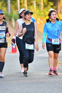 BIB: 6610, 6074
                            <button type="button" onclick="openModal(3105302)" class="btn btn-primary btn-sm float-right btn-popup" data-toggle="modal" data-target=".modal-high-quality">
                        <i class="fas fa-shopping-cart"></i> Add to Cart
                    </button>
                                            <button type="button" onclick="isThisMe(3105302, true)" class="btn btn-success btn-sm float-right btn-popup btn-isme hidden" data-toggle="tooltip" data-placement="bottom" title="นี่คือรูปของคุณใช่ไหม คลิกที่นี่เพื่อเอาเข้าอัลบั้ม">
                        <i class="fas fa-plus"></i> Add to album
                    </button>
                    <button type="button" onclick="isThisMe(3105302, false)" class="btn btn-warning btn-sm float-right btn-popup btn-isnotme hidden">
                        <i class="fas fa-ban"></i> Remove from album
                    </button>