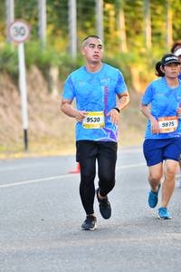 BIB: 9530, 9875
                            <button type="button" onclick="openModal(3088648)" class="btn btn-primary btn-sm float-right btn-popup" data-toggle="modal" data-target=".modal-high-quality">
                        <i class="fas fa-shopping-cart"></i> Add to Cart
                    </button>
                                            <button type="button" onclick="isThisMe(3088648, true)" class="btn btn-success btn-sm float-right btn-popup btn-isme hidden" data-toggle="tooltip" data-placement="bottom" title="นี่คือรูปของคุณใช่ไหม คลิกที่นี่เพื่อเอาเข้าอัลบั้ม">
                        <i class="fas fa-plus"></i> Add to album
                    </button>
                    <button type="button" onclick="isThisMe(3088648, false)" class="btn btn-warning btn-sm float-right btn-popup btn-isnotme hidden">
                        <i class="fas fa-ban"></i> Remove from album
                    </button>