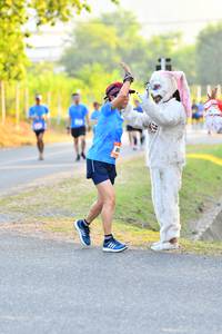 BIB: 
                            <button type="button" onclick="openModal(3088888)" class="btn btn-primary btn-sm float-right btn-popup" data-toggle="modal" data-target=".modal-high-quality">
                        <i class="fas fa-shopping-cart"></i> Add to Cart
                    </button>
                                            <button type="button" onclick="isThisMe(3088888, true)" class="btn btn-success btn-sm float-right btn-popup btn-isme hidden" data-toggle="tooltip" data-placement="bottom" title="นี่คือรูปของคุณใช่ไหม คลิกที่นี่เพื่อเอาเข้าอัลบั้ม">
                        <i class="fas fa-plus"></i> Add to album
                    </button>
                    <button type="button" onclick="isThisMe(3088888, false)" class="btn btn-warning btn-sm float-right btn-popup btn-isnotme hidden">
                        <i class="fas fa-ban"></i> Remove from album
                    </button>