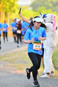 BIB: 8179
                            <button type="button" onclick="openModal(3094861)" class="btn btn-primary btn-sm float-right btn-popup" data-toggle="modal" data-target=".modal-high-quality">
                        <i class="fas fa-shopping-cart"></i> Add to Cart
                    </button>
                                            <button type="button" onclick="isThisMe(3094861, true)" class="btn btn-success btn-sm float-right btn-popup btn-isme hidden" data-toggle="tooltip" data-placement="bottom" title="นี่คือรูปของคุณใช่ไหม คลิกที่นี่เพื่อเอาเข้าอัลบั้ม">
                        <i class="fas fa-plus"></i> Add to album
                    </button>
                    <button type="button" onclick="isThisMe(3094861, false)" class="btn btn-warning btn-sm float-right btn-popup btn-isnotme hidden">
                        <i class="fas fa-ban"></i> Remove from album
                    </button>