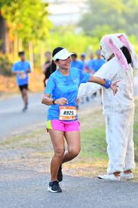 BIB: 8925
                            <button type="button" onclick="openModal(3092319)" class="btn btn-primary btn-sm float-right btn-popup" data-toggle="modal" data-target=".modal-high-quality">
                        <i class="fas fa-shopping-cart"></i> Add to Cart
                    </button>
                                            <button type="button" onclick="isThisMe(3092319, true)" class="btn btn-success btn-sm float-right btn-popup btn-isme hidden" data-toggle="tooltip" data-placement="bottom" title="นี่คือรูปของคุณใช่ไหม คลิกที่นี่เพื่อเอาเข้าอัลบั้ม">
                        <i class="fas fa-plus"></i> Add to album
                    </button>
                    <button type="button" onclick="isThisMe(3092319, false)" class="btn btn-warning btn-sm float-right btn-popup btn-isnotme hidden">
                        <i class="fas fa-ban"></i> Remove from album
                    </button>