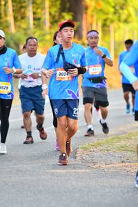 BIB: 529
                            <button type="button" onclick="openModal(3089465)" class="btn btn-primary btn-sm float-right btn-popup" data-toggle="modal" data-target=".modal-high-quality">
                        <i class="fas fa-shopping-cart"></i> Add to Cart
                    </button>
                                            <button type="button" onclick="isThisMe(3089465, true)" class="btn btn-success btn-sm float-right btn-popup btn-isme hidden" data-toggle="tooltip" data-placement="bottom" title="นี่คือรูปของคุณใช่ไหม คลิกที่นี่เพื่อเอาเข้าอัลบั้ม">
                        <i class="fas fa-plus"></i> Add to album
                    </button>
                    <button type="button" onclick="isThisMe(3089465, false)" class="btn btn-warning btn-sm float-right btn-popup btn-isnotme hidden">
                        <i class="fas fa-ban"></i> Remove from album
                    </button>