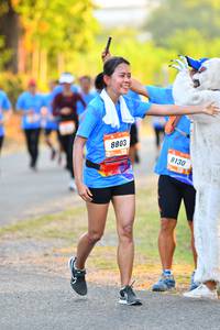 BIB: 8803, 8130
                            <button type="button" onclick="openModal(3094893)" class="btn btn-primary btn-sm float-right btn-popup" data-toggle="modal" data-target=".modal-high-quality">
                        <i class="fas fa-shopping-cart"></i> Add to Cart
                    </button>
                                            <button type="button" onclick="isThisMe(3094893, true)" class="btn btn-success btn-sm float-right btn-popup btn-isme hidden" data-toggle="tooltip" data-placement="bottom" title="นี่คือรูปของคุณใช่ไหม คลิกที่นี่เพื่อเอาเข้าอัลบั้ม">
                        <i class="fas fa-plus"></i> Add to album
                    </button>
                    <button type="button" onclick="isThisMe(3094893, false)" class="btn btn-warning btn-sm float-right btn-popup btn-isnotme hidden">
                        <i class="fas fa-ban"></i> Remove from album
                    </button>