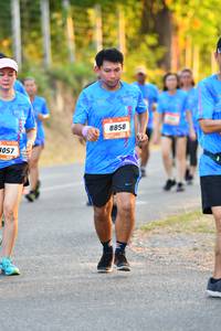 BIB: 8858, 057
                            <button type="button" onclick="openModal(3101606)" class="btn btn-primary btn-sm float-right btn-popup" data-toggle="modal" data-target=".modal-high-quality">
                        <i class="fas fa-shopping-cart"></i> Add to Cart
                    </button>
                                            <button type="button" onclick="isThisMe(3101606, true)" class="btn btn-success btn-sm float-right btn-popup btn-isme hidden" data-toggle="tooltip" data-placement="bottom" title="นี่คือรูปของคุณใช่ไหม คลิกที่นี่เพื่อเอาเข้าอัลบั้ม">
                        <i class="fas fa-plus"></i> Add to album
                    </button>
                    <button type="button" onclick="isThisMe(3101606, false)" class="btn btn-warning btn-sm float-right btn-popup btn-isnotme hidden">
                        <i class="fas fa-ban"></i> Remove from album
                    </button>