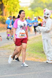 BIB: 8802
                            <button type="button" onclick="openModal(3108689)" class="btn btn-primary btn-sm float-right btn-popup" data-toggle="modal" data-target=".modal-high-quality">
                        <i class="fas fa-shopping-cart"></i> Add to Cart
                    </button>
                                            <button type="button" onclick="isThisMe(3108689, true)" class="btn btn-success btn-sm float-right btn-popup btn-isme hidden" data-toggle="tooltip" data-placement="bottom" title="นี่คือรูปของคุณใช่ไหม คลิกที่นี่เพื่อเอาเข้าอัลบั้ม">
                        <i class="fas fa-plus"></i> Add to album
                    </button>
                    <button type="button" onclick="isThisMe(3108689, false)" class="btn btn-warning btn-sm float-right btn-popup btn-isnotme hidden">
                        <i class="fas fa-ban"></i> Remove from album
                    </button>