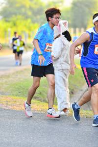 BIB: 8095
                            <button type="button" onclick="openModal(3088710)" class="btn btn-primary btn-sm float-right btn-popup" data-toggle="modal" data-target=".modal-high-quality">
                        <i class="fas fa-shopping-cart"></i> Add to Cart
                    </button>
                                            <button type="button" onclick="isThisMe(3088710, true)" class="btn btn-success btn-sm float-right btn-popup btn-isme hidden" data-toggle="tooltip" data-placement="bottom" title="นี่คือรูปของคุณใช่ไหม คลิกที่นี่เพื่อเอาเข้าอัลบั้ม">
                        <i class="fas fa-plus"></i> Add to album
                    </button>
                    <button type="button" onclick="isThisMe(3088710, false)" class="btn btn-warning btn-sm float-right btn-popup btn-isnotme hidden">
                        <i class="fas fa-ban"></i> Remove from album
                    </button>