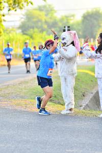 BIB: 
                            <button type="button" onclick="openModal(3088889)" class="btn btn-primary btn-sm float-right btn-popup" data-toggle="modal" data-target=".modal-high-quality">
                        <i class="fas fa-shopping-cart"></i> Add to Cart
                    </button>
                                            <button type="button" onclick="isThisMe(3088889, true)" class="btn btn-success btn-sm float-right btn-popup btn-isme hidden" data-toggle="tooltip" data-placement="bottom" title="นี่คือรูปของคุณใช่ไหม คลิกที่นี่เพื่อเอาเข้าอัลบั้ม">
                        <i class="fas fa-plus"></i> Add to album
                    </button>
                    <button type="button" onclick="isThisMe(3088889, false)" class="btn btn-warning btn-sm float-right btn-popup btn-isnotme hidden">
                        <i class="fas fa-ban"></i> Remove from album
                    </button>