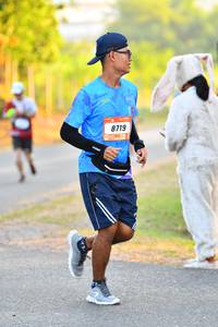 BIB: 8719
                            <button type="button" onclick="openModal(3091862)" class="btn btn-primary btn-sm float-right btn-popup" data-toggle="modal" data-target=".modal-high-quality">
                        <i class="fas fa-shopping-cart"></i> Add to Cart
                    </button>
                                            <button type="button" onclick="isThisMe(3091862, true)" class="btn btn-success btn-sm float-right btn-popup btn-isme hidden" data-toggle="tooltip" data-placement="bottom" title="นี่คือรูปของคุณใช่ไหม คลิกที่นี่เพื่อเอาเข้าอัลบั้ม">
                        <i class="fas fa-plus"></i> Add to album
                    </button>
                    <button type="button" onclick="isThisMe(3091862, false)" class="btn btn-warning btn-sm float-right btn-popup btn-isnotme hidden">
                        <i class="fas fa-ban"></i> Remove from album
                    </button>