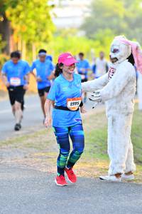 BIB: 8995
                            <button type="button" onclick="openModal(3092823)" class="btn btn-primary btn-sm float-right btn-popup" data-toggle="modal" data-target=".modal-high-quality">
                        <i class="fas fa-shopping-cart"></i> Add to Cart
                    </button>
                                            <button type="button" onclick="isThisMe(3092823, true)" class="btn btn-success btn-sm float-right btn-popup btn-isme hidden" data-toggle="tooltip" data-placement="bottom" title="นี่คือรูปของคุณใช่ไหม คลิกที่นี่เพื่อเอาเข้าอัลบั้ม">
                        <i class="fas fa-plus"></i> Add to album
                    </button>
                    <button type="button" onclick="isThisMe(3092823, false)" class="btn btn-warning btn-sm float-right btn-popup btn-isnotme hidden">
                        <i class="fas fa-ban"></i> Remove from album
                    </button>