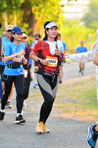 BIB: 880, 535
                            <button type="button" onclick="openModal(3095213)" class="btn btn-primary btn-sm float-right btn-popup" data-toggle="modal" data-target=".modal-high-quality">
                        <i class="fas fa-shopping-cart"></i> Add to Cart
                    </button>
                                            <button type="button" onclick="isThisMe(3095213, true)" class="btn btn-success btn-sm float-right btn-popup btn-isme hidden" data-toggle="tooltip" data-placement="bottom" title="นี่คือรูปของคุณใช่ไหม คลิกที่นี่เพื่อเอาเข้าอัลบั้ม">
                        <i class="fas fa-plus"></i> Add to album
                    </button>
                    <button type="button" onclick="isThisMe(3095213, false)" class="btn btn-warning btn-sm float-right btn-popup btn-isnotme hidden">
                        <i class="fas fa-ban"></i> Remove from album
                    </button>