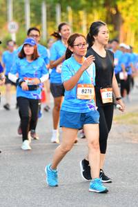 BIB: 8278
                            <button type="button" onclick="openModal(3106852)" class="btn btn-primary btn-sm float-right btn-popup" data-toggle="modal" data-target=".modal-high-quality">
                        <i class="fas fa-shopping-cart"></i> Add to Cart
                    </button>
                                            <button type="button" onclick="isThisMe(3106852, true)" class="btn btn-success btn-sm float-right btn-popup btn-isme hidden" data-toggle="tooltip" data-placement="bottom" title="นี่คือรูปของคุณใช่ไหม คลิกที่นี่เพื่อเอาเข้าอัลบั้ม">
                        <i class="fas fa-plus"></i> Add to album
                    </button>
                    <button type="button" onclick="isThisMe(3106852, false)" class="btn btn-warning btn-sm float-right btn-popup btn-isnotme hidden">
                        <i class="fas fa-ban"></i> Remove from album
                    </button>