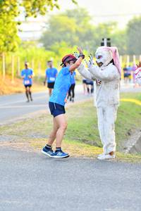 BIB: 
                            <button type="button" onclick="openModal(3088886)" class="btn btn-primary btn-sm float-right btn-popup" data-toggle="modal" data-target=".modal-high-quality">
                        <i class="fas fa-shopping-cart"></i> Add to Cart
                    </button>
                                            <button type="button" onclick="isThisMe(3088886, true)" class="btn btn-success btn-sm float-right btn-popup btn-isme hidden" data-toggle="tooltip" data-placement="bottom" title="นี่คือรูปของคุณใช่ไหม คลิกที่นี่เพื่อเอาเข้าอัลบั้ม">
                        <i class="fas fa-plus"></i> Add to album
                    </button>
                    <button type="button" onclick="isThisMe(3088886, false)" class="btn btn-warning btn-sm float-right btn-popup btn-isnotme hidden">
                        <i class="fas fa-ban"></i> Remove from album
                    </button>