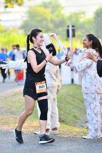 BIB: 9669
                            <button type="button" onclick="openModal(3093406)" class="btn btn-primary btn-sm float-right btn-popup" data-toggle="modal" data-target=".modal-high-quality">
                        <i class="fas fa-shopping-cart"></i> Add to Cart
                    </button>
                                            <button type="button" onclick="isThisMe(3093406, true)" class="btn btn-success btn-sm float-right btn-popup btn-isme hidden" data-toggle="tooltip" data-placement="bottom" title="นี่คือรูปของคุณใช่ไหม คลิกที่นี่เพื่อเอาเข้าอัลบั้ม">
                        <i class="fas fa-plus"></i> Add to album
                    </button>
                    <button type="button" onclick="isThisMe(3093406, false)" class="btn btn-warning btn-sm float-right btn-popup btn-isnotme hidden">
                        <i class="fas fa-ban"></i> Remove from album
                    </button>