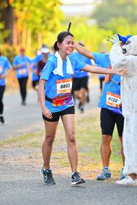 BIB: 8803, 8130
                            <button type="button" onclick="openModal(3094873)" class="btn btn-primary btn-sm float-right btn-popup" data-toggle="modal" data-target=".modal-high-quality">
                        <i class="fas fa-shopping-cart"></i> Add to Cart
                    </button>
                                            <button type="button" onclick="isThisMe(3094873, true)" class="btn btn-success btn-sm float-right btn-popup btn-isme hidden" data-toggle="tooltip" data-placement="bottom" title="นี่คือรูปของคุณใช่ไหม คลิกที่นี่เพื่อเอาเข้าอัลบั้ม">
                        <i class="fas fa-plus"></i> Add to album
                    </button>
                    <button type="button" onclick="isThisMe(3094873, false)" class="btn btn-warning btn-sm float-right btn-popup btn-isnotme hidden">
                        <i class="fas fa-ban"></i> Remove from album
                    </button>