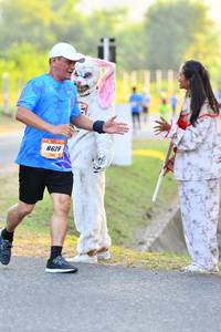 BIB: 8629
                            <button type="button" onclick="openModal(3091181)" class="btn btn-primary btn-sm float-right btn-popup" data-toggle="modal" data-target=".modal-high-quality">
                        <i class="fas fa-shopping-cart"></i> Add to Cart
                    </button>
                                            <button type="button" onclick="isThisMe(3091181, true)" class="btn btn-success btn-sm float-right btn-popup btn-isme hidden" data-toggle="tooltip" data-placement="bottom" title="นี่คือรูปของคุณใช่ไหม คลิกที่นี่เพื่อเอาเข้าอัลบั้ม">
                        <i class="fas fa-plus"></i> Add to album
                    </button>
                    <button type="button" onclick="isThisMe(3091181, false)" class="btn btn-warning btn-sm float-right btn-popup btn-isnotme hidden">
                        <i class="fas fa-ban"></i> Remove from album
                    </button>