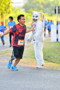 BIB: 9348
                            <button type="button" onclick="openModal(3089206)" class="btn btn-primary btn-sm float-right btn-popup" data-toggle="modal" data-target=".modal-high-quality">
                        <i class="fas fa-shopping-cart"></i> Add to Cart
                    </button>
                                            <button type="button" onclick="isThisMe(3089206, true)" class="btn btn-success btn-sm float-right btn-popup btn-isme hidden" data-toggle="tooltip" data-placement="bottom" title="นี่คือรูปของคุณใช่ไหม คลิกที่นี่เพื่อเอาเข้าอัลบั้ม">
                        <i class="fas fa-plus"></i> Add to album
                    </button>
                    <button type="button" onclick="isThisMe(3089206, false)" class="btn btn-warning btn-sm float-right btn-popup btn-isnotme hidden">
                        <i class="fas fa-ban"></i> Remove from album
                    </button>