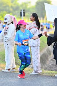 BIB: 8995
                            <button type="button" onclick="openModal(3093046)" class="btn btn-primary btn-sm float-right btn-popup" data-toggle="modal" data-target=".modal-high-quality">
                        <i class="fas fa-shopping-cart"></i> Add to Cart
                    </button>
                                            <button type="button" onclick="isThisMe(3093046, true)" class="btn btn-success btn-sm float-right btn-popup btn-isme hidden" data-toggle="tooltip" data-placement="bottom" title="นี่คือรูปของคุณใช่ไหม คลิกที่นี่เพื่อเอาเข้าอัลบั้ม">
                        <i class="fas fa-plus"></i> Add to album
                    </button>
                    <button type="button" onclick="isThisMe(3093046, false)" class="btn btn-warning btn-sm float-right btn-popup btn-isnotme hidden">
                        <i class="fas fa-ban"></i> Remove from album
                    </button>