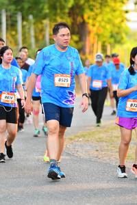 BIB: 8525, 8614
                            <button type="button" onclick="openModal(3111420)" class="btn btn-primary btn-sm float-right btn-popup" data-toggle="modal" data-target=".modal-high-quality">
                        <i class="fas fa-shopping-cart"></i> Add to Cart
                    </button>
                                            <button type="button" onclick="isThisMe(3111420, true)" class="btn btn-success btn-sm float-right btn-popup btn-isme hidden" data-toggle="tooltip" data-placement="bottom" title="นี่คือรูปของคุณใช่ไหม คลิกที่นี่เพื่อเอาเข้าอัลบั้ม">
                        <i class="fas fa-plus"></i> Add to album
                    </button>
                    <button type="button" onclick="isThisMe(3111420, false)" class="btn btn-warning btn-sm float-right btn-popup btn-isnotme hidden">
                        <i class="fas fa-ban"></i> Remove from album
                    </button>