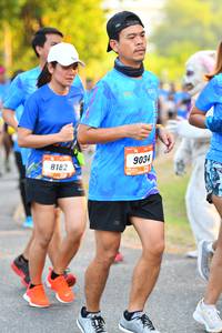 BIB: 8182, 9034
                            <button type="button" onclick="openModal(3089931)" class="btn btn-primary btn-sm float-right btn-popup" data-toggle="modal" data-target=".modal-high-quality">
                        <i class="fas fa-shopping-cart"></i> Add to Cart
                    </button>
                                            <button type="button" onclick="isThisMe(3089931, true)" class="btn btn-success btn-sm float-right btn-popup btn-isme hidden" data-toggle="tooltip" data-placement="bottom" title="นี่คือรูปของคุณใช่ไหม คลิกที่นี่เพื่อเอาเข้าอัลบั้ม">
                        <i class="fas fa-plus"></i> Add to album
                    </button>
                    <button type="button" onclick="isThisMe(3089931, false)" class="btn btn-warning btn-sm float-right btn-popup btn-isnotme hidden">
                        <i class="fas fa-ban"></i> Remove from album
                    </button>