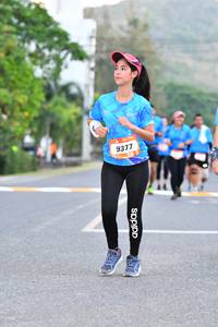 BIB: 9377
                            <button type="button" onclick="openModal(3125796)" class="btn btn-primary btn-sm float-right btn-popup" data-toggle="modal" data-target=".modal-high-quality">
                        <i class="fas fa-shopping-cart"></i> Add to Cart
                    </button>
                                            <button type="button" onclick="isThisMe(3125796, true)" class="btn btn-success btn-sm float-right btn-popup btn-isme hidden" data-toggle="tooltip" data-placement="bottom" title="นี่คือรูปของคุณใช่ไหม คลิกที่นี่เพื่อเอาเข้าอัลบั้ม">
                        <i class="fas fa-plus"></i> Add to album
                    </button>
                    <button type="button" onclick="isThisMe(3125796, false)" class="btn btn-warning btn-sm float-right btn-popup btn-isnotme hidden">
                        <i class="fas fa-ban"></i> Remove from album
                    </button>