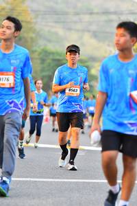 BIB: 176, 8563
                            <button type="button" onclick="openModal(3105261)" class="btn btn-primary btn-sm float-right btn-popup" data-toggle="modal" data-target=".modal-high-quality">
                        <i class="fas fa-shopping-cart"></i> Add to Cart
                    </button>
                                            <button type="button" onclick="isThisMe(3105261, true)" class="btn btn-success btn-sm float-right btn-popup btn-isme hidden" data-toggle="tooltip" data-placement="bottom" title="นี่คือรูปของคุณใช่ไหม คลิกที่นี่เพื่อเอาเข้าอัลบั้ม">
                        <i class="fas fa-plus"></i> Add to album
                    </button>
                    <button type="button" onclick="isThisMe(3105261, false)" class="btn btn-warning btn-sm float-right btn-popup btn-isnotme hidden">
                        <i class="fas fa-ban"></i> Remove from album
                    </button>