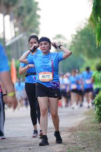 BIB: 9277
                            <button type="button" onclick="openModal(3292760)" class="btn btn-primary btn-sm float-right btn-popup" data-toggle="modal" data-target=".modal-high-quality">
                        <i class="fas fa-shopping-cart"></i> Add to Cart
                    </button>
                                            <button type="button" onclick="isThisMe(3292760, true)" class="btn btn-success btn-sm float-right btn-popup btn-isme hidden" data-toggle="tooltip" data-placement="bottom" title="นี่คือรูปของคุณใช่ไหม คลิกที่นี่เพื่อเอาเข้าอัลบั้ม">
                        <i class="fas fa-plus"></i> Add to album
                    </button>
                    <button type="button" onclick="isThisMe(3292760, false)" class="btn btn-warning btn-sm float-right btn-popup btn-isnotme hidden">
                        <i class="fas fa-ban"></i> Remove from album
                    </button>