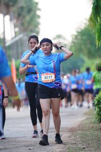 BIB: 9277
                            <button type="button" onclick="openModal(3292755)" class="btn btn-primary btn-sm float-right btn-popup" data-toggle="modal" data-target=".modal-high-quality">
                        <i class="fas fa-shopping-cart"></i> Add to Cart
                    </button>
                                            <button type="button" onclick="isThisMe(3292755, true)" class="btn btn-success btn-sm float-right btn-popup btn-isme hidden" data-toggle="tooltip" data-placement="bottom" title="นี่คือรูปของคุณใช่ไหม คลิกที่นี่เพื่อเอาเข้าอัลบั้ม">
                        <i class="fas fa-plus"></i> Add to album
                    </button>
                    <button type="button" onclick="isThisMe(3292755, false)" class="btn btn-warning btn-sm float-right btn-popup btn-isnotme hidden">
                        <i class="fas fa-ban"></i> Remove from album
                    </button>