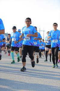 BIB: 6246, 6270
                            <button type="button" onclick="openModal(3136279)" class="btn btn-primary btn-sm float-right btn-popup" data-toggle="modal" data-target=".modal-high-quality">
                        <i class="fas fa-shopping-cart"></i> Add to Cart
                    </button>
                                            <button type="button" onclick="isThisMe(3136279, true)" class="btn btn-success btn-sm float-right btn-popup btn-isme hidden" data-toggle="tooltip" data-placement="bottom" title="นี่คือรูปของคุณใช่ไหม คลิกที่นี่เพื่อเอาเข้าอัลบั้ม">
                        <i class="fas fa-plus"></i> Add to album
                    </button>
                    <button type="button" onclick="isThisMe(3136279, false)" class="btn btn-warning btn-sm float-right btn-popup btn-isnotme hidden">
                        <i class="fas fa-ban"></i> Remove from album
                    </button>