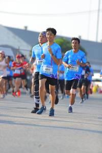 BIB: 639, 6872
                            <button type="button" onclick="openModal(3131638)" class="btn btn-primary btn-sm float-right btn-popup" data-toggle="modal" data-target=".modal-high-quality">
                        <i class="fas fa-shopping-cart"></i> Add to Cart
                    </button>
                                            <button type="button" onclick="isThisMe(3131638, true)" class="btn btn-success btn-sm float-right btn-popup btn-isme hidden" data-toggle="tooltip" data-placement="bottom" title="นี่คือรูปของคุณใช่ไหม คลิกที่นี่เพื่อเอาเข้าอัลบั้ม">
                        <i class="fas fa-plus"></i> Add to album
                    </button>
                    <button type="button" onclick="isThisMe(3131638, false)" class="btn btn-warning btn-sm float-right btn-popup btn-isnotme hidden">
                        <i class="fas fa-ban"></i> Remove from album
                    </button>