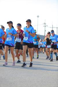 BIB: 6510, 512, 6518
                            <button type="button" onclick="openModal(3139051)" class="btn btn-primary btn-sm float-right btn-popup" data-toggle="modal" data-target=".modal-high-quality">
                        <i class="fas fa-shopping-cart"></i> Add to Cart
                    </button>
                                            <button type="button" onclick="isThisMe(3139051, true)" class="btn btn-success btn-sm float-right btn-popup btn-isme hidden" data-toggle="tooltip" data-placement="bottom" title="นี่คือรูปของคุณใช่ไหม คลิกที่นี่เพื่อเอาเข้าอัลบั้ม">
                        <i class="fas fa-plus"></i> Add to album
                    </button>
                    <button type="button" onclick="isThisMe(3139051, false)" class="btn btn-warning btn-sm float-right btn-popup btn-isnotme hidden">
                        <i class="fas fa-ban"></i> Remove from album
                    </button>