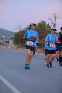 BIB: 8499, 8501
                            <button type="button" onclick="openModal(3321003)" class="btn btn-primary btn-sm float-right btn-popup" data-toggle="modal" data-target=".modal-high-quality">
                        <i class="fas fa-shopping-cart"></i> Add to Cart
                    </button>
                                            <button type="button" onclick="isThisMe(3321003, true)" class="btn btn-success btn-sm float-right btn-popup btn-isme hidden" data-toggle="tooltip" data-placement="bottom" title="นี่คือรูปของคุณใช่ไหม คลิกที่นี่เพื่อเอาเข้าอัลบั้ม">
                        <i class="fas fa-plus"></i> Add to album
                    </button>
                    <button type="button" onclick="isThisMe(3321003, false)" class="btn btn-warning btn-sm float-right btn-popup btn-isnotme hidden">
                        <i class="fas fa-ban"></i> Remove from album
                    </button>