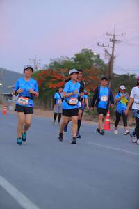 BIB: 8433
                            <button type="button" onclick="openModal(3320978)" class="btn btn-primary btn-sm float-right btn-popup" data-toggle="modal" data-target=".modal-high-quality">
                        <i class="fas fa-shopping-cart"></i> Add to Cart
                    </button>
                                            <button type="button" onclick="isThisMe(3320978, true)" class="btn btn-success btn-sm float-right btn-popup btn-isme hidden" data-toggle="tooltip" data-placement="bottom" title="นี่คือรูปของคุณใช่ไหม คลิกที่นี่เพื่อเอาเข้าอัลบั้ม">
                        <i class="fas fa-plus"></i> Add to album
                    </button>
                    <button type="button" onclick="isThisMe(3320978, false)" class="btn btn-warning btn-sm float-right btn-popup btn-isnotme hidden">
                        <i class="fas fa-ban"></i> Remove from album
                    </button>