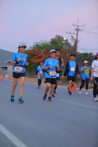 BIB: 8433
                            <button type="button" onclick="openModal(3320998)" class="btn btn-primary btn-sm float-right btn-popup" data-toggle="modal" data-target=".modal-high-quality">
                        <i class="fas fa-shopping-cart"></i> Add to Cart
                    </button>
                                            <button type="button" onclick="isThisMe(3320998, true)" class="btn btn-success btn-sm float-right btn-popup btn-isme hidden" data-toggle="tooltip" data-placement="bottom" title="นี่คือรูปของคุณใช่ไหม คลิกที่นี่เพื่อเอาเข้าอัลบั้ม">
                        <i class="fas fa-plus"></i> Add to album
                    </button>
                    <button type="button" onclick="isThisMe(3320998, false)" class="btn btn-warning btn-sm float-right btn-popup btn-isnotme hidden">
                        <i class="fas fa-ban"></i> Remove from album
                    </button>