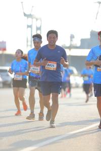 BIB: 8825, 9003
                            <button type="button" onclick="openModal(3149000)" class="btn btn-primary btn-sm float-right btn-popup" data-toggle="modal" data-target=".modal-high-quality">
                        <i class="fas fa-shopping-cart"></i> Add to Cart
                    </button>
                                            <button type="button" onclick="isThisMe(3149000, true)" class="btn btn-success btn-sm float-right btn-popup btn-isme hidden" data-toggle="tooltip" data-placement="bottom" title="นี่คือรูปของคุณใช่ไหม คลิกที่นี่เพื่อเอาเข้าอัลบั้ม">
                        <i class="fas fa-plus"></i> Add to album
                    </button>
                    <button type="button" onclick="isThisMe(3149000, false)" class="btn btn-warning btn-sm float-right btn-popup btn-isnotme hidden">
                        <i class="fas fa-ban"></i> Remove from album
                    </button>