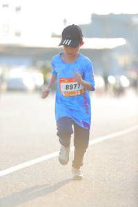 BIB: 897
                            <button type="button" onclick="openModal(3178028)" class="btn btn-primary btn-sm float-right btn-popup" data-toggle="modal" data-target=".modal-high-quality">
                        <i class="fas fa-shopping-cart"></i> Add to Cart
                    </button>
                                            <button type="button" onclick="isThisMe(3178028, true)" class="btn btn-success btn-sm float-right btn-popup btn-isme hidden" data-toggle="tooltip" data-placement="bottom" title="นี่คือรูปของคุณใช่ไหม คลิกที่นี่เพื่อเอาเข้าอัลบั้ม">
                        <i class="fas fa-plus"></i> Add to album
                    </button>
                    <button type="button" onclick="isThisMe(3178028, false)" class="btn btn-warning btn-sm float-right btn-popup btn-isnotme hidden">
                        <i class="fas fa-ban"></i> Remove from album
                    </button>