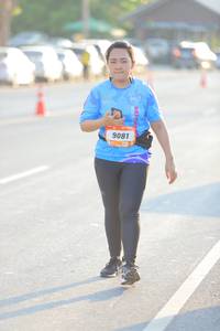 BIB: 9081
                            <button type="button" onclick="openModal(3178965)" class="btn btn-primary btn-sm float-right btn-popup" data-toggle="modal" data-target=".modal-high-quality">
                        <i class="fas fa-shopping-cart"></i> Add to Cart
                    </button>
                                            <button type="button" onclick="isThisMe(3178965, true)" class="btn btn-success btn-sm float-right btn-popup btn-isme hidden" data-toggle="tooltip" data-placement="bottom" title="นี่คือรูปของคุณใช่ไหม คลิกที่นี่เพื่อเอาเข้าอัลบั้ม">
                        <i class="fas fa-plus"></i> Add to album
                    </button>
                    <button type="button" onclick="isThisMe(3178965, false)" class="btn btn-warning btn-sm float-right btn-popup btn-isnotme hidden">
                        <i class="fas fa-ban"></i> Remove from album
                    </button>