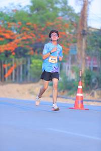 BIB: 8095
                            <button type="button" onclick="openModal(3184080)" class="btn btn-primary btn-sm float-right btn-popup" data-toggle="modal" data-target=".modal-high-quality">
                        <i class="fas fa-shopping-cart"></i> Add to Cart
                    </button>
                                            <button type="button" onclick="isThisMe(3184080, true)" class="btn btn-success btn-sm float-right btn-popup btn-isme hidden" data-toggle="tooltip" data-placement="bottom" title="นี่คือรูปของคุณใช่ไหม คลิกที่นี่เพื่อเอาเข้าอัลบั้ม">
                        <i class="fas fa-plus"></i> Add to album
                    </button>
                    <button type="button" onclick="isThisMe(3184080, false)" class="btn btn-warning btn-sm float-right btn-popup btn-isnotme hidden">
                        <i class="fas fa-ban"></i> Remove from album
                    </button>