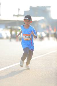 BIB: 8977
                            <button type="button" onclick="openModal(3177903)" class="btn btn-primary btn-sm float-right btn-popup" data-toggle="modal" data-target=".modal-high-quality">
                        <i class="fas fa-shopping-cart"></i> Add to Cart
                    </button>
                                            <button type="button" onclick="isThisMe(3177903, true)" class="btn btn-success btn-sm float-right btn-popup btn-isme hidden" data-toggle="tooltip" data-placement="bottom" title="นี่คือรูปของคุณใช่ไหม คลิกที่นี่เพื่อเอาเข้าอัลบั้ม">
                        <i class="fas fa-plus"></i> Add to album
                    </button>
                    <button type="button" onclick="isThisMe(3177903, false)" class="btn btn-warning btn-sm float-right btn-popup btn-isnotme hidden">
                        <i class="fas fa-ban"></i> Remove from album
                    </button>