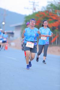 BIB: 445, 8435
                            <button type="button" onclick="openModal(3199276)" class="btn btn-primary btn-sm float-right btn-popup" data-toggle="modal" data-target=".modal-high-quality">
                        <i class="fas fa-shopping-cart"></i> Add to Cart
                    </button>
                                            <button type="button" onclick="isThisMe(3199276, true)" class="btn btn-success btn-sm float-right btn-popup btn-isme hidden" data-toggle="tooltip" data-placement="bottom" title="นี่คือรูปของคุณใช่ไหม คลิกที่นี่เพื่อเอาเข้าอัลบั้ม">
                        <i class="fas fa-plus"></i> Add to album
                    </button>
                    <button type="button" onclick="isThisMe(3199276, false)" class="btn btn-warning btn-sm float-right btn-popup btn-isnotme hidden">
                        <i class="fas fa-ban"></i> Remove from album
                    </button>