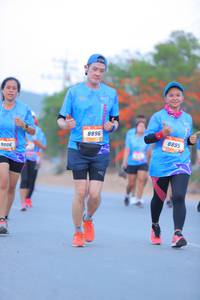 BIB: 8896, 8895, 9006
                            <button type="button" onclick="openModal(3205707)" class="btn btn-primary btn-sm float-right btn-popup" data-toggle="modal" data-target=".modal-high-quality">
                        <i class="fas fa-shopping-cart"></i> Add to Cart
                    </button>
                                            <button type="button" onclick="isThisMe(3205707, true)" class="btn btn-success btn-sm float-right btn-popup btn-isme hidden" data-toggle="tooltip" data-placement="bottom" title="นี่คือรูปของคุณใช่ไหม คลิกที่นี่เพื่อเอาเข้าอัลบั้ม">
                        <i class="fas fa-plus"></i> Add to album
                    </button>
                    <button type="button" onclick="isThisMe(3205707, false)" class="btn btn-warning btn-sm float-right btn-popup btn-isnotme hidden">
                        <i class="fas fa-ban"></i> Remove from album
                    </button>