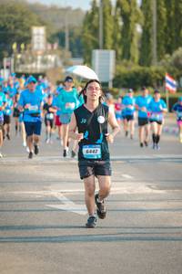 BIB: 6442
                            <button type="button" onclick="openModal(3180265)" class="btn btn-primary btn-sm float-right btn-popup" data-toggle="modal" data-target=".modal-high-quality">
                        <i class="fas fa-shopping-cart"></i> Add to Cart
                    </button>
                                            <button type="button" onclick="isThisMe(3180265, true)" class="btn btn-success btn-sm float-right btn-popup btn-isme hidden" data-toggle="tooltip" data-placement="bottom" title="นี่คือรูปของคุณใช่ไหม คลิกที่นี่เพื่อเอาเข้าอัลบั้ม">
                        <i class="fas fa-plus"></i> Add to album
                    </button>
                    <button type="button" onclick="isThisMe(3180265, false)" class="btn btn-warning btn-sm float-right btn-popup btn-isnotme hidden">
                        <i class="fas fa-ban"></i> Remove from album
                    </button>