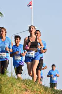 BIB: 6839, 7234, 6872
                            <button type="button" onclick="openModal(3088073)" class="btn btn-primary btn-sm float-right btn-popup" data-toggle="modal" data-target=".modal-high-quality">
                        <i class="fas fa-shopping-cart"></i> Add to Cart
                    </button>
                                            <button type="button" onclick="isThisMe(3088073, true)" class="btn btn-success btn-sm float-right btn-popup btn-isme hidden" data-toggle="tooltip" data-placement="bottom" title="นี่คือรูปของคุณใช่ไหม คลิกที่นี่เพื่อเอาเข้าอัลบั้ม">
                        <i class="fas fa-plus"></i> Add to album
                    </button>
                    <button type="button" onclick="isThisMe(3088073, false)" class="btn btn-warning btn-sm float-right btn-popup btn-isnotme hidden">
                        <i class="fas fa-ban"></i> Remove from album
                    </button>