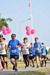 BIB: 106, 6054, 110
                            <button type="button" onclick="openModal(3089451)" class="btn btn-primary btn-sm float-right btn-popup" data-toggle="modal" data-target=".modal-high-quality">
                        <i class="fas fa-shopping-cart"></i> Add to Cart
                    </button>
                                            <button type="button" onclick="isThisMe(3089451, true)" class="btn btn-success btn-sm float-right btn-popup btn-isme hidden" data-toggle="tooltip" data-placement="bottom" title="นี่คือรูปของคุณใช่ไหม คลิกที่นี่เพื่อเอาเข้าอัลบั้ม">
                        <i class="fas fa-plus"></i> Add to album
                    </button>
                    <button type="button" onclick="isThisMe(3089451, false)" class="btn btn-warning btn-sm float-right btn-popup btn-isnotme hidden">
                        <i class="fas fa-ban"></i> Remove from album
                    </button>