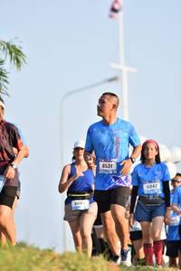 BIB: 6042, 668
                            <button type="button" onclick="openModal(3090176)" class="btn btn-primary btn-sm float-right btn-popup" data-toggle="modal" data-target=".modal-high-quality">
                        <i class="fas fa-shopping-cart"></i> Add to Cart
                    </button>
                                            <button type="button" onclick="isThisMe(3090176, true)" class="btn btn-success btn-sm float-right btn-popup btn-isme hidden" data-toggle="tooltip" data-placement="bottom" title="นี่คือรูปของคุณใช่ไหม คลิกที่นี่เพื่อเอาเข้าอัลบั้ม">
                        <i class="fas fa-plus"></i> Add to album
                    </button>
                    <button type="button" onclick="isThisMe(3090176, false)" class="btn btn-warning btn-sm float-right btn-popup btn-isnotme hidden">
                        <i class="fas fa-ban"></i> Remove from album
                    </button>