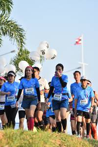 BIB: 6042, 6029, 6463, 6039
                            <button type="button" onclick="openModal(3090175)" class="btn btn-primary btn-sm float-right btn-popup" data-toggle="modal" data-target=".modal-high-quality">
                        <i class="fas fa-shopping-cart"></i> Add to Cart
                    </button>
                                            <button type="button" onclick="isThisMe(3090175, true)" class="btn btn-success btn-sm float-right btn-popup btn-isme hidden" data-toggle="tooltip" data-placement="bottom" title="นี่คือรูปของคุณใช่ไหม คลิกที่นี่เพื่อเอาเข้าอัลบั้ม">
                        <i class="fas fa-plus"></i> Add to album
                    </button>
                    <button type="button" onclick="isThisMe(3090175, false)" class="btn btn-warning btn-sm float-right btn-popup btn-isnotme hidden">
                        <i class="fas fa-ban"></i> Remove from album
                    </button>