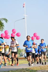 BIB: 106, 6054
                            <button type="button" onclick="openModal(3089467)" class="btn btn-primary btn-sm float-right btn-popup" data-toggle="modal" data-target=".modal-high-quality">
                        <i class="fas fa-shopping-cart"></i> Add to Cart
                    </button>
                                            <button type="button" onclick="isThisMe(3089467, true)" class="btn btn-success btn-sm float-right btn-popup btn-isme hidden" data-toggle="tooltip" data-placement="bottom" title="นี่คือรูปของคุณใช่ไหม คลิกที่นี่เพื่อเอาเข้าอัลบั้ม">
                        <i class="fas fa-plus"></i> Add to album
                    </button>
                    <button type="button" onclick="isThisMe(3089467, false)" class="btn btn-warning btn-sm float-right btn-popup btn-isnotme hidden">
                        <i class="fas fa-ban"></i> Remove from album
                    </button>